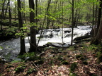 IMG 4612